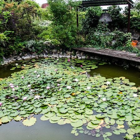 Pigál Panzió Panzió Badacsonyörs Kültér fotó